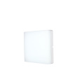 21W  P65 Ellipse Bulkhead Outdoor Light